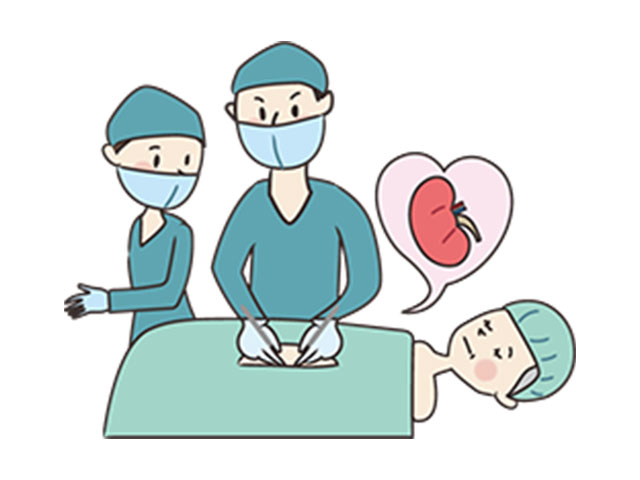 腎移植（生体腎・献腎）